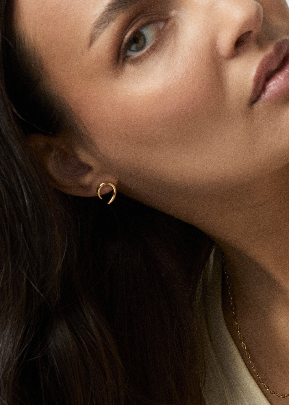 Toro Horn Stud Earrings
