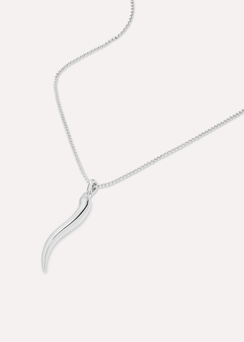 Toro Horn Charm Necklace