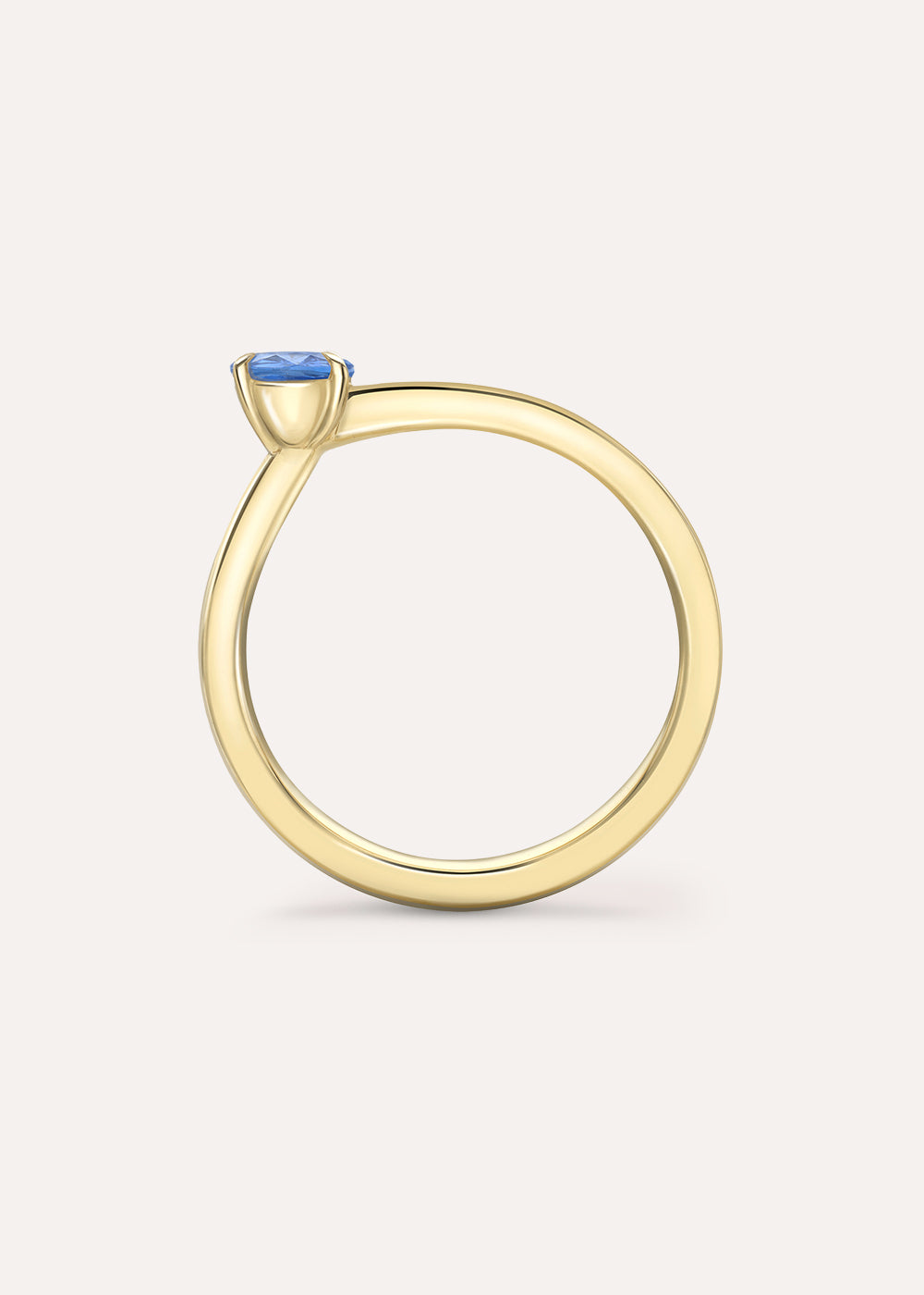 Bit on the Side Blue Sapphire & Tsavorite Ring