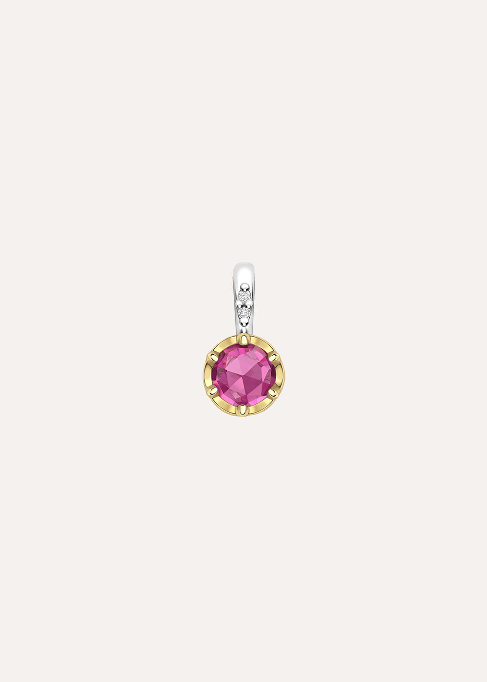 Garnet January Birthstone Charm