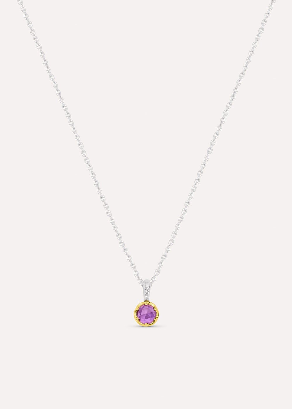 Amethyst February Birthstone Necklace