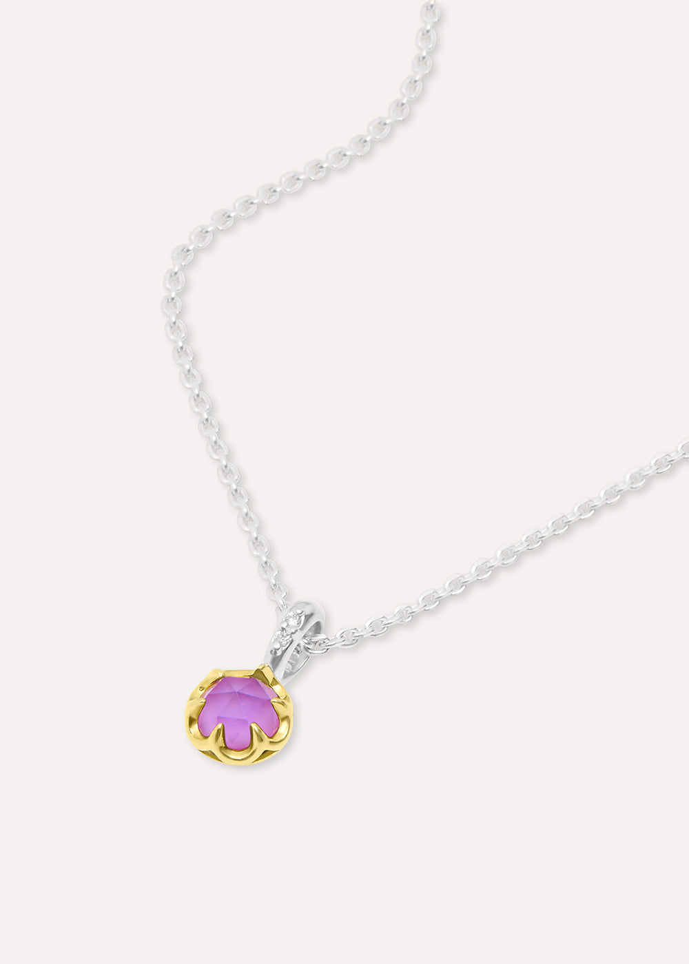 Amethyst February Birthstone Necklace