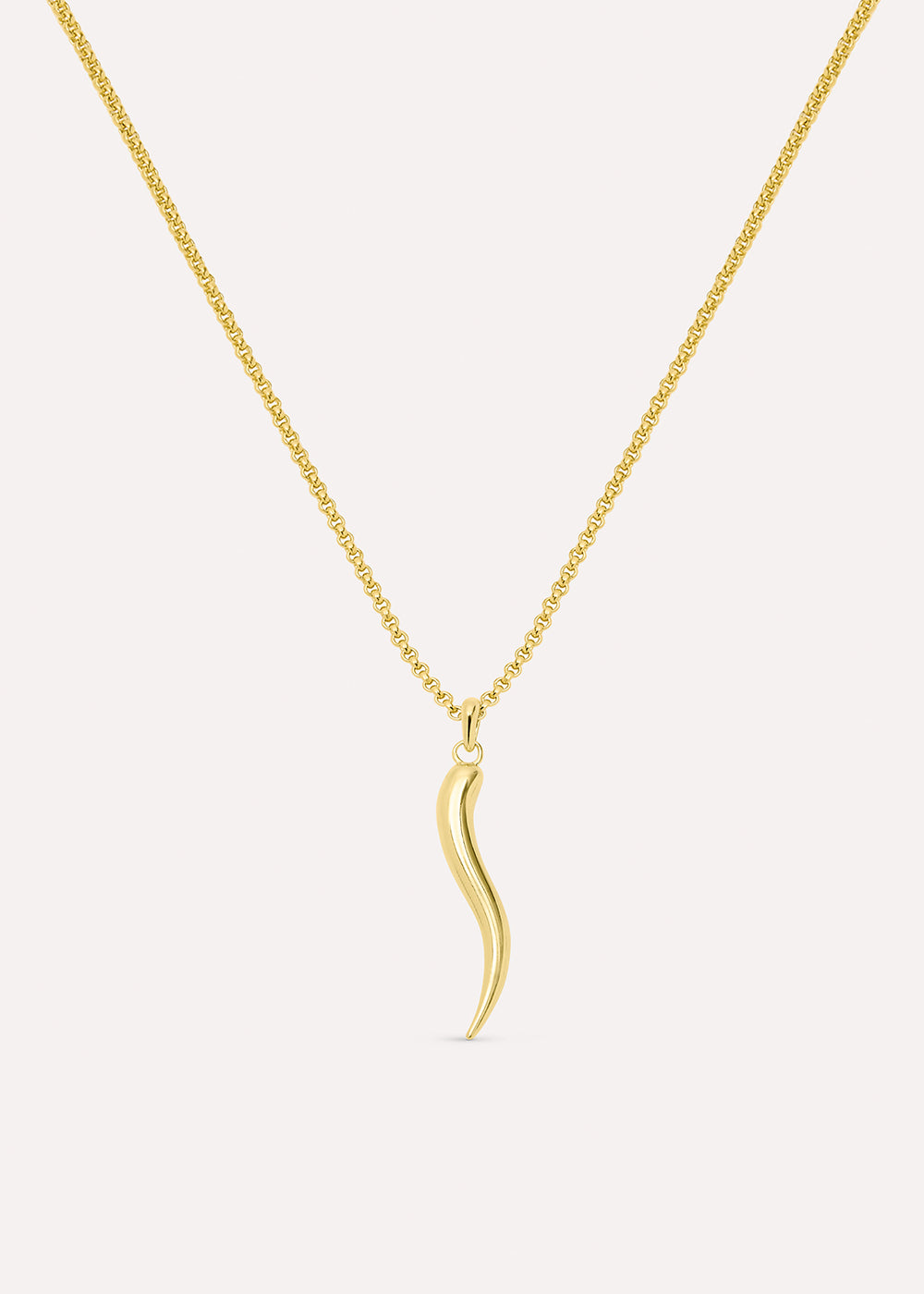 Toro Horn Charm Necklace