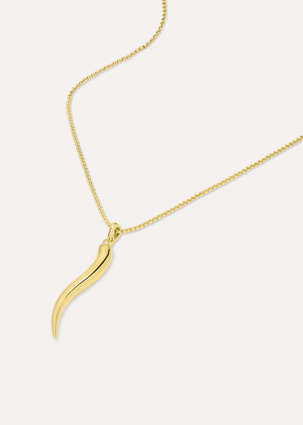 Toro Horn Charm Necklace
