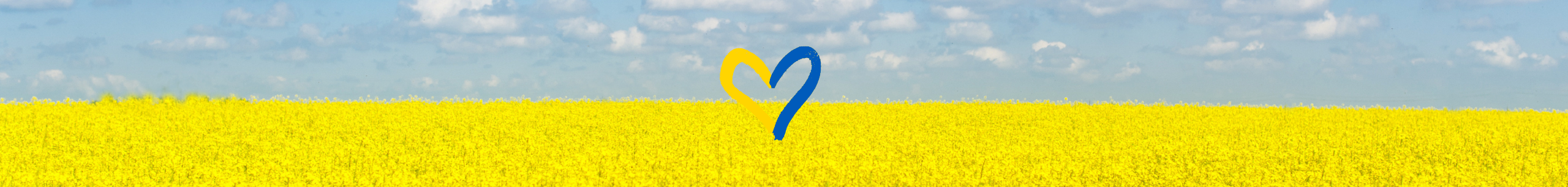 Must-Haves Supporting Ukraine