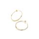 Signature Medium Hoops
