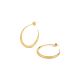 Signature Hera Hoops