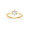 Dinny Hall Lily 18K Diamond Solitaire Ring 