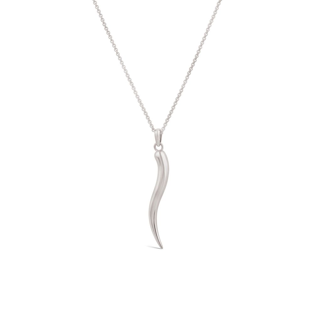 Toro Horn Pendant