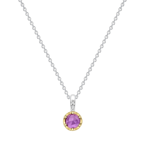 February Amethyst Birthstone Pendant